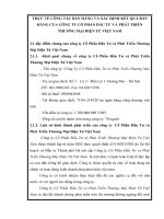 THỰC TẾ CÔNG TÁC BÁN HÀNG VÀ XÁC ĐỊNH KẾT QUẢ BÁN HÀNG CỦA CÔNG TY CỔ PHẦN ĐẦU TƯ VÀ PHÁT TRIỂN THƯƠNG MẠI ĐIỆN TỬ VIỆT NAM