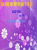 T 87- Tìm hiểu chung văn chứng minh