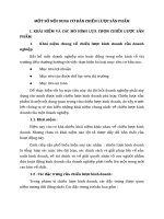 MỘT SỐ NỘI DUNG CƠ BẢN CHIẾN LƯỢC SẢN PHẨM