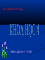 khoa học4: ăn uống khi bị bệnh