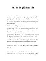 Rủi ro do giới hạn vốn