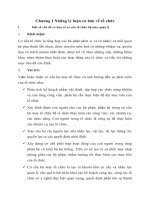 Chương I Những lý luận cơ bản về tổ chức