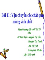 Bài 11: Vận chuyển các chất qua màng. net