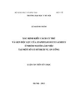 Xác định kiểu cách cư trú và gen độc lực của staphylococcus aureus ở nhóm người làm việc tại một số cơ sở dịch vụ ăn ux 