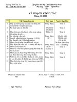 KE HOACH CONG TAC THANG 11.2010