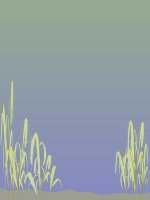 mo bài trong bài van kể chuyện