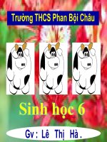 bai 24- phan lon nuoc vao cay di dau