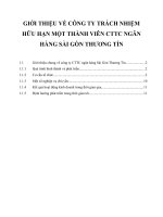 GIỚI THIỆU VỀ CÔNG TY TRÁCH NHIỆM HỮU HẠN MỘT THÀNH VIÊN CTTC NGÂN HÀNG SÀI GÒN THƯƠNG TÍN