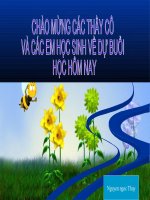 Đại việt thế kỉ XIII