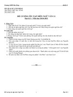 đề cương ôn tập Ngữ Văn 11 - hk1