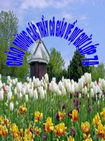 tiết 13-Số thâp phân hữu hạn-Số thập phân vô hạn tuần hoàn