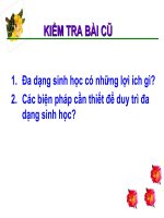 BÀI 59 BIỆN PHÁP ĐẤU TRANH SINH HỌC