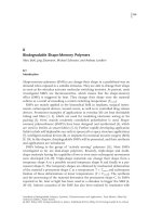 Biodegradable Shape-Memory Polymers