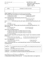 Kiểm tra văn phần tiếng việt