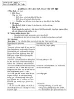 Giáo án tin học: Kiểu dữ liệu tệp, thao tác với tệp