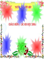 tiet 17 sinh hoc 9 co ung dung phuong phap vaø ki thuat day hoc tich cuc