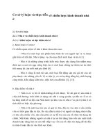 Cơ sở lý luận và thực tiễn về chiến lược kinh doanh nhà ở