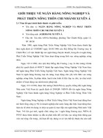 GIỚI THIỆU VỀ NGÂN HÀNG NÔNG NGHIỆP VÀ PHÁT TRIỂN NÔNG THÔN CHI NHÁNH XUYÊN Á