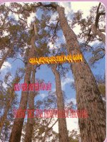 tiet 41 bai 34 su phat tan cua qua va hat