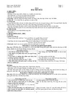 Giáo án đã sửa theo CKTKN gần hết HKII