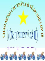 Bài 9: Hoạt động và nghỉ ngơi(TNXH) Lớp 1