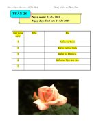 GIÁO ÁN lớp 3 TUẦN 28 thứ tư, 5,6