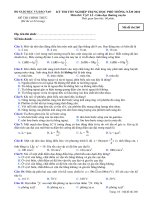 Đề thi chính thức kỳ thi tốt nghiệp THPT 2010 môn Vật lý - Giáo dục thường xuyên (Mã đề thi 260)