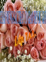 ngữ văn 7 tiết 44