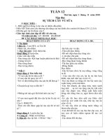 Tuần 12 lớp 2 (tích hợp MT)