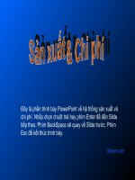 Hệ thống sản xuất và chi phí