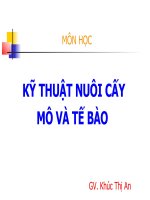 nuoi cay mo dong - thuc vat