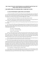 thực trạng  kế toán lưu chuyển hàng hoá và xác định kết quả tiêu thụ ở chi nhánh công ty điện máy TP