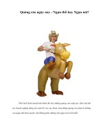 Quảng cáo ngày nay - Ngựa thồ hay Ngựa nòi?