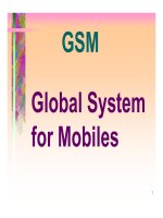 GSM Global System for Mobiles