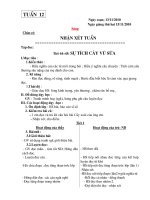 Giao an lơp 2 tuan 12 chuẩn