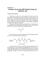 Protein và sự trao đổi Protein trong cơ thể thực vật