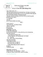 @- giao an 2 tuan 16- mot cot