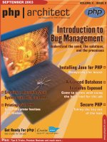 Introduction to Bug Management
