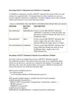 Executing SELECT Statements and TableDirect Commands phần 1