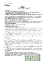 Giao an chuan KT KN tham khảo