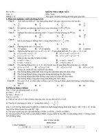 Tham khảo Toán 11 HK I_5