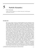 Quantitative aspects of ruminant digestion and metabolism - Phần 4