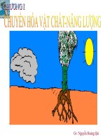 Sự hấp thụ nước, muối kháng