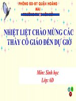 Cac loại rễ