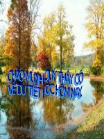 Chương I: Tứ giác