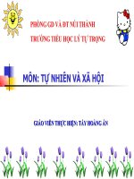 Các thế hệ trong một Gia đình