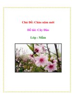 Chủ Đề: Chào năm mới - Đề tài: Cây Đào - Lớp : Mầm