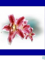 UNIT 4 - LANGUAGE FOCUS (G9)