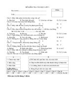 DE VA DAP AN TIN HOC 3