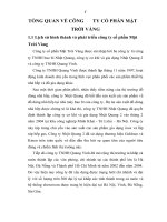 TỔNG QUAN VỀ CÔNG TY CỔ PHẦN MẶT TRỜI VÀNG